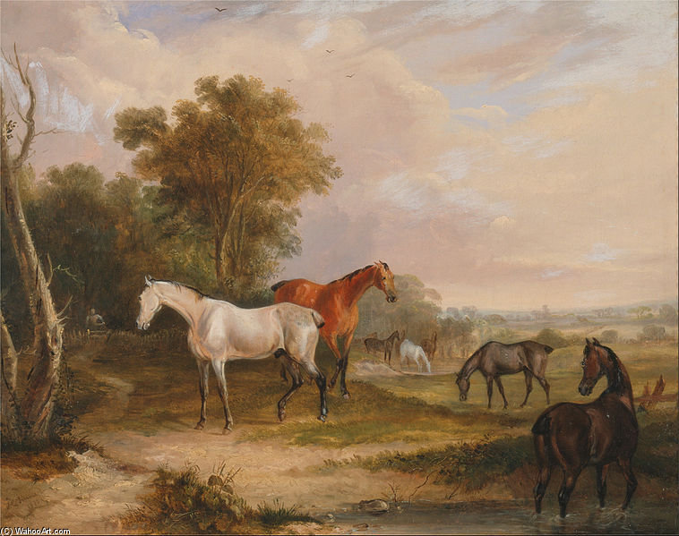 WikiOO.org - Güzel Sanatlar Ansiklopedisi - Resim, Resimler Francis Calcraft Turner - Horses Grazing- A Grey Stallion Grazing With Mares In A Meadow