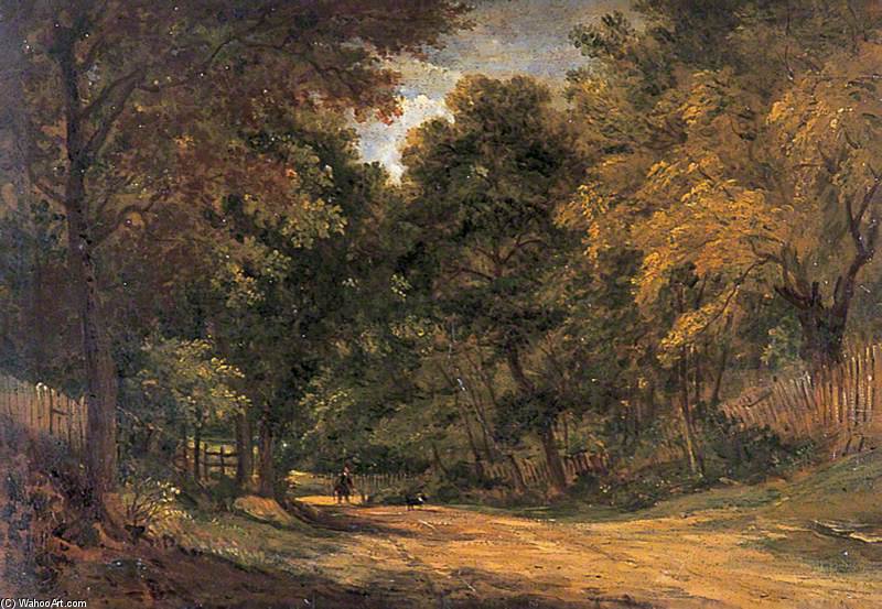 Wikioo.org - The Encyclopedia of Fine Arts - Painting, Artwork by Frederick Richard Lee - A Lane At Cobham, Kent
