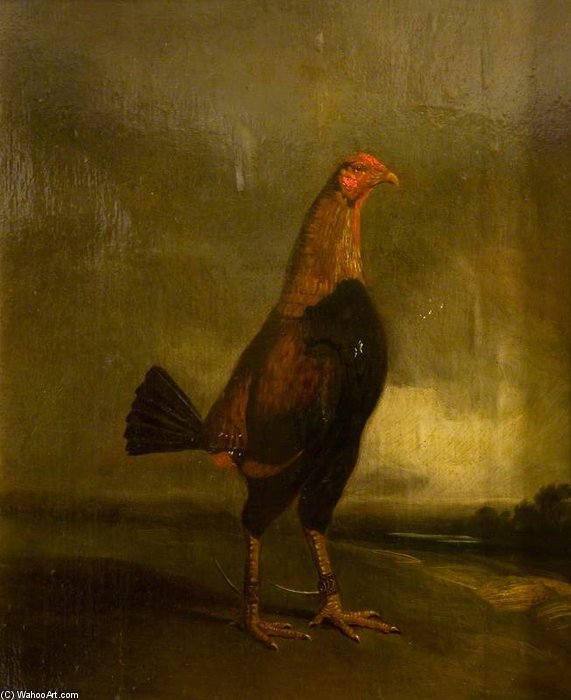 Wikioo.org - The Encyclopedia of Fine Arts - Painting, Artwork by Henry Thomas Alken - Fighting Cock In A Landscape