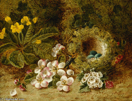 Wikioo.org - The Encyclopedia of Fine Arts - Painting, Artwork by Oliver Clare - Apple Blossoms, A Primrose And Birds Nest
