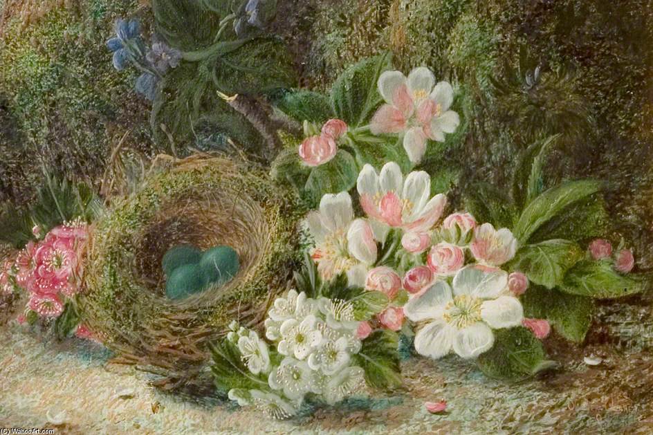 Wikioo.org - The Encyclopedia of Fine Arts - Painting, Artwork by Oliver Clare - Bird's Nest With Apple And Hawthorn Blossom