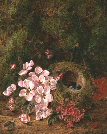 Wikioo.org – L'Encyclopédie des Beaux Arts - Peinture, Oeuvre de Oliver Clare - Nid d oiseau