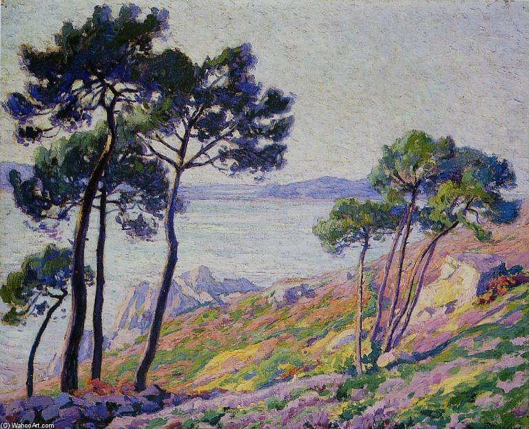 Wikioo.org - The Encyclopedia of Fine Arts - Painting, Artwork by Paul Madeline - Pins Au Bord De La Mer