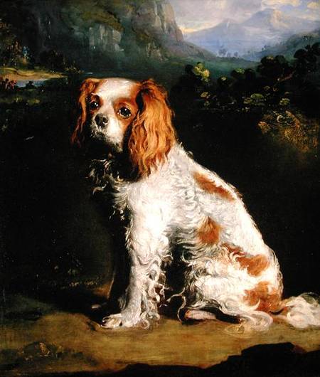 Wikioo.org - Die Enzyklopädie bildender Kunst - Malerei, Kunstwerk von George Philip Reinagle - Ein König Charles Wachtelhund