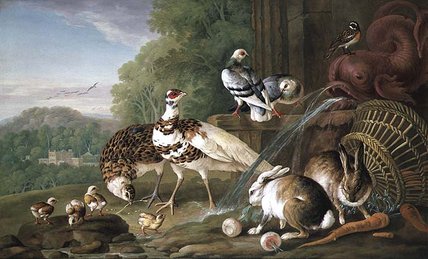 WikiOO.org - Encyclopedia of Fine Arts - Maalaus, taideteos Pieter Casteels - Birds And Rabbits