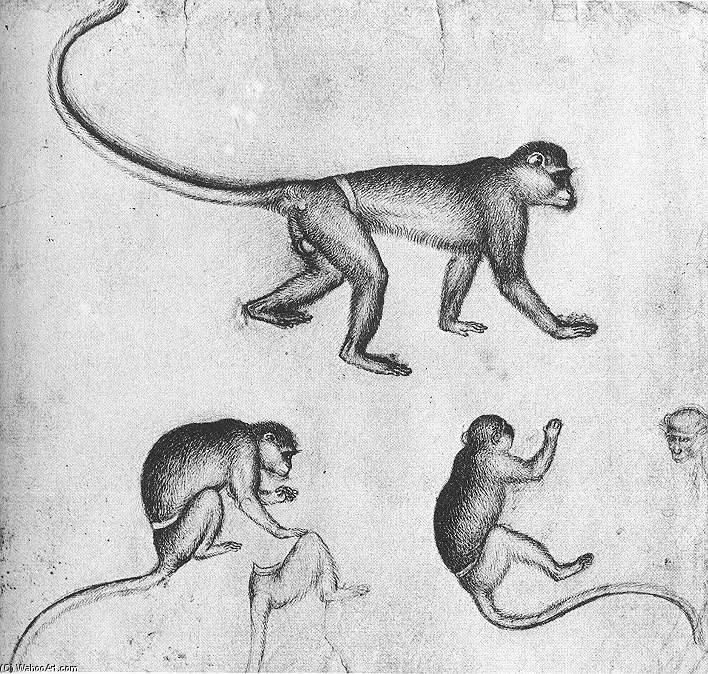 Wikoo.org - موسوعة الفنون الجميلة - اللوحة، العمل الفني Pisanello - Apes (from The Artist S Sketchbook). Drawing. Louvre Museum, Paris