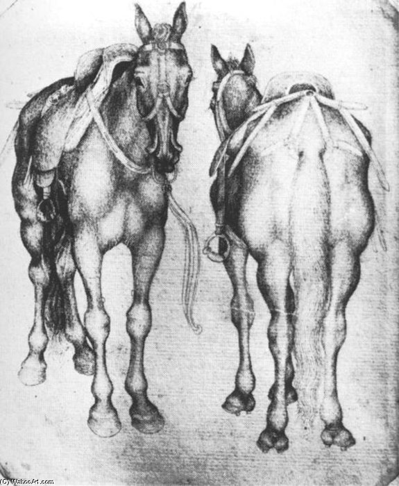 Wikoo.org - موسوعة الفنون الجميلة - اللوحة، العمل الفني Pisanello - Horses. Pen On Paper. 20 X 16.5 Cm. Louvre Museum, Paris