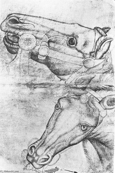 Wikoo.org - موسوعة الفنون الجميلة - اللوحة، العمل الفني Pisanello - Study Of Horse Heads. Pen On Paper. 29 X 19 Cm. Louvre Museum, Paris