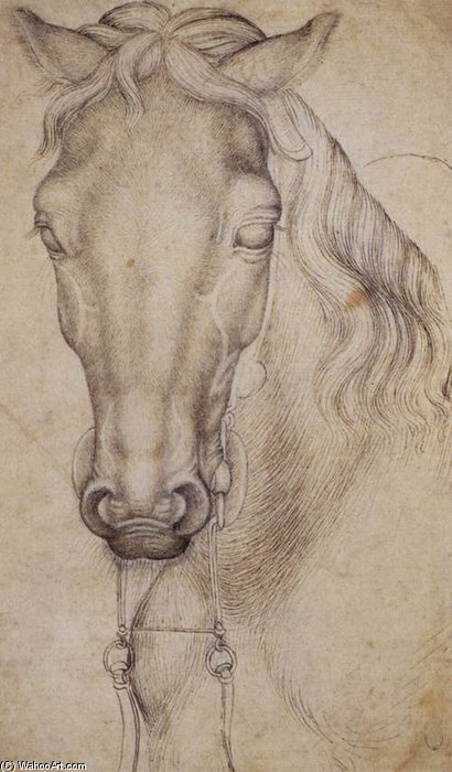 Wikioo.org - Encyklopedia Sztuk Pięknych - Malarstwo, Grafika Pisanello - Study Of The Head Of A Horse. Pen. 276 X 197 Mm. Louvre Museum, Paris
