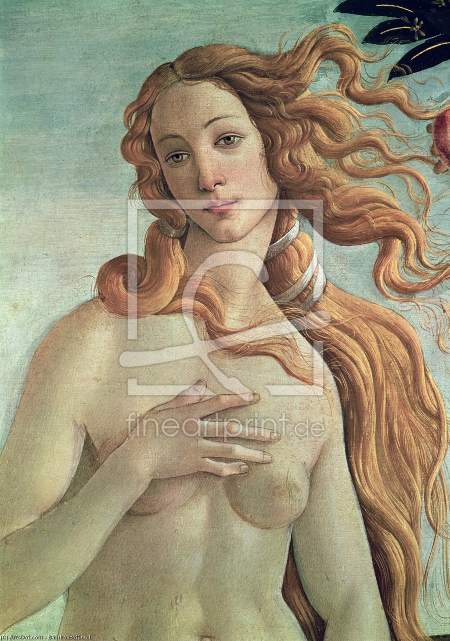WikiOO.org – 美術百科全書 - 繪畫，作品 Sandro Botticelli - 金星 详细  从  的  诞生  的  金星