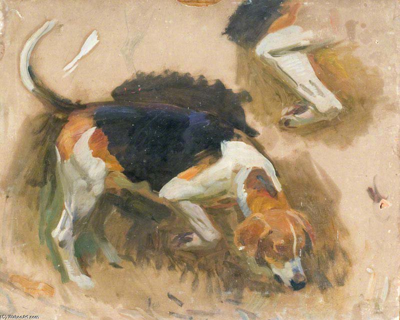 Wikioo.org - The Encyclopedia of Fine Arts - Painting, Artwork by Alfred James Munnings - A Study Of A Hound