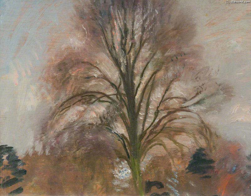 Wikioo.org - The Encyclopedia of Fine Arts - Painting, Artwork by Alfred James Munnings - A Tree Study