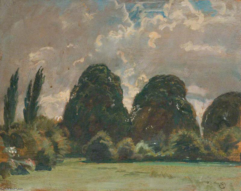 Wikioo.org – La Enciclopedia de las Bellas Artes - Pintura, Obras de arte de Alfred James Munnings - Elm Trees
