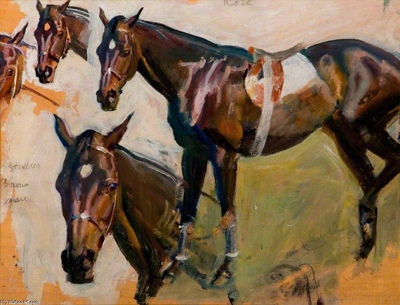 Wikioo.org - The Encyclopedia of Fine Arts - Painting, Artwork by Alfred James Munnings - Studies Of A Brown Mare For 'unsaddling Enclosure, Epsom'