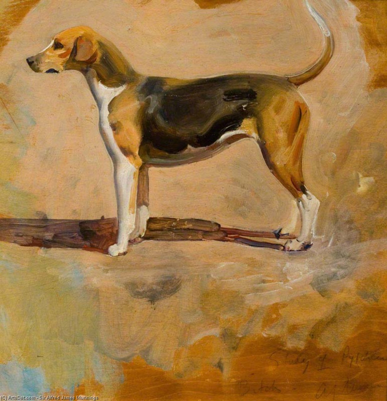 WikiOO.org - Encyclopedia of Fine Arts - Maleri, Artwork Alfred James Munnings - Study Of A Foxhound, 'pytchley'