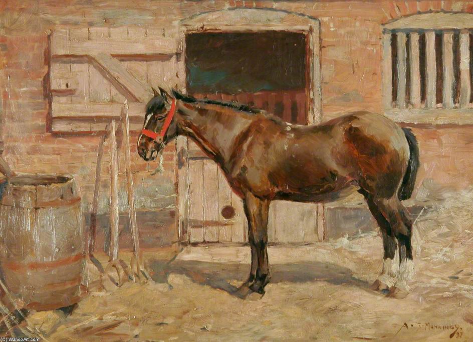 Wikioo.org - The Encyclopedia of Fine Arts - Painting, Artwork by Alfred James Munnings - Study Of A Pony