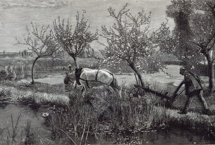WikiOO.org - Enciclopedia of Fine Arts - Pictura, lucrări de artă David Murray - A Little Farm Well Tilled