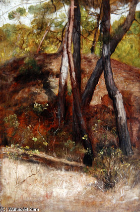 Wikioo.org - The Encyclopedia of Fine Arts - Painting, Artwork by George Richmond - Trees At Bocca D'arno