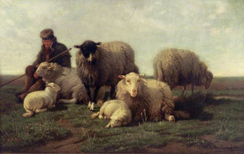 Wikioo.org - The Encyclopedia of Fine Arts - Painting, Artwork by Cornelis Van Leemputten - Group Of Belgian Sheep