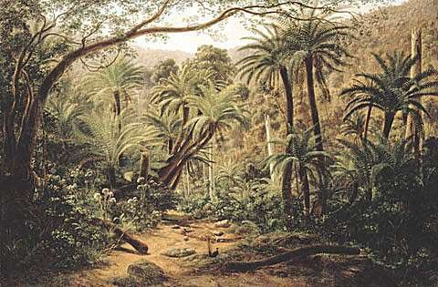 Wikioo.org - The Encyclopedia of Fine Arts - Painting, Artwork by Eugene Von Guerard - Ferntree Gully In The Dandenong Ranges