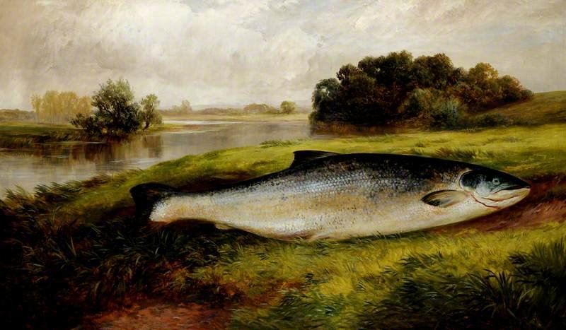 Wikioo.org - The Encyclopedia of Fine Arts - Painting, Artwork by George Turner - A Salmon Lying On A Riverbank