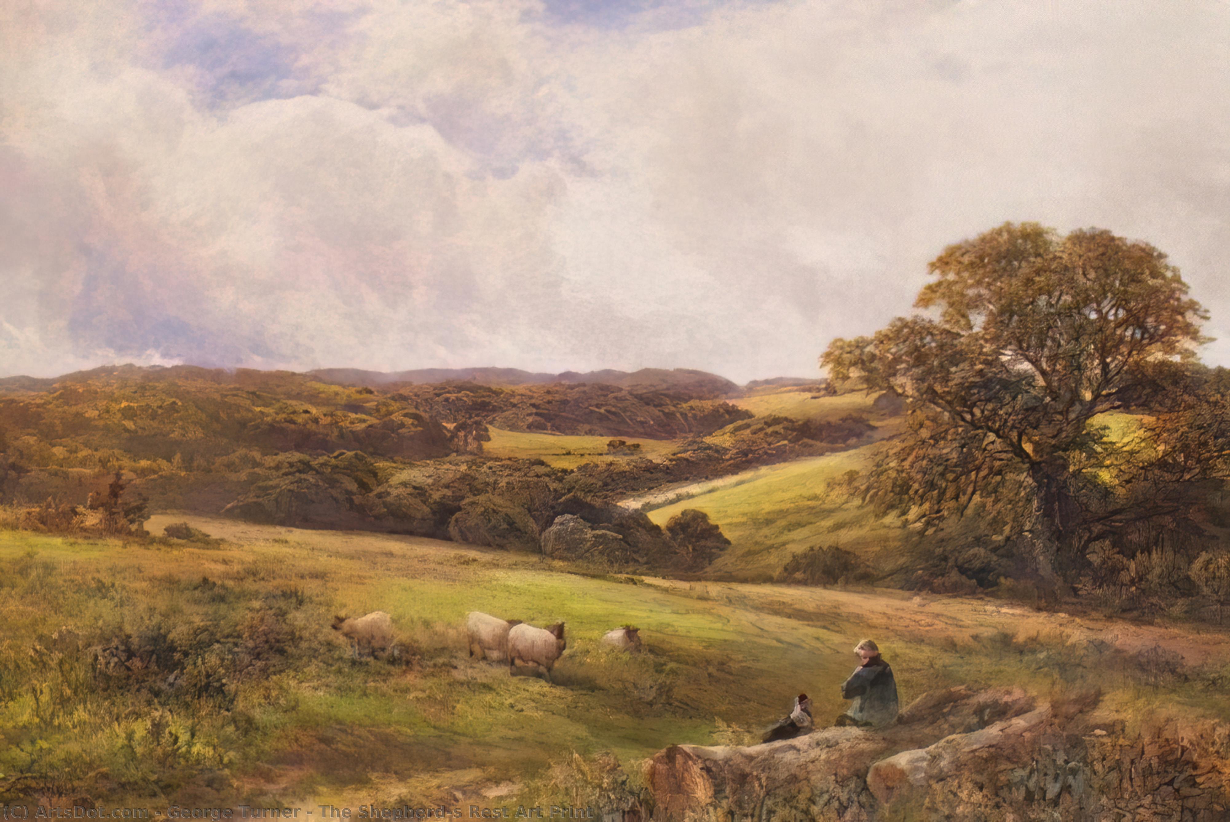 Wikioo.org - The Encyclopedia of Fine Arts - Painting, Artwork by George Turner - The Shepherd's Rest Art Print