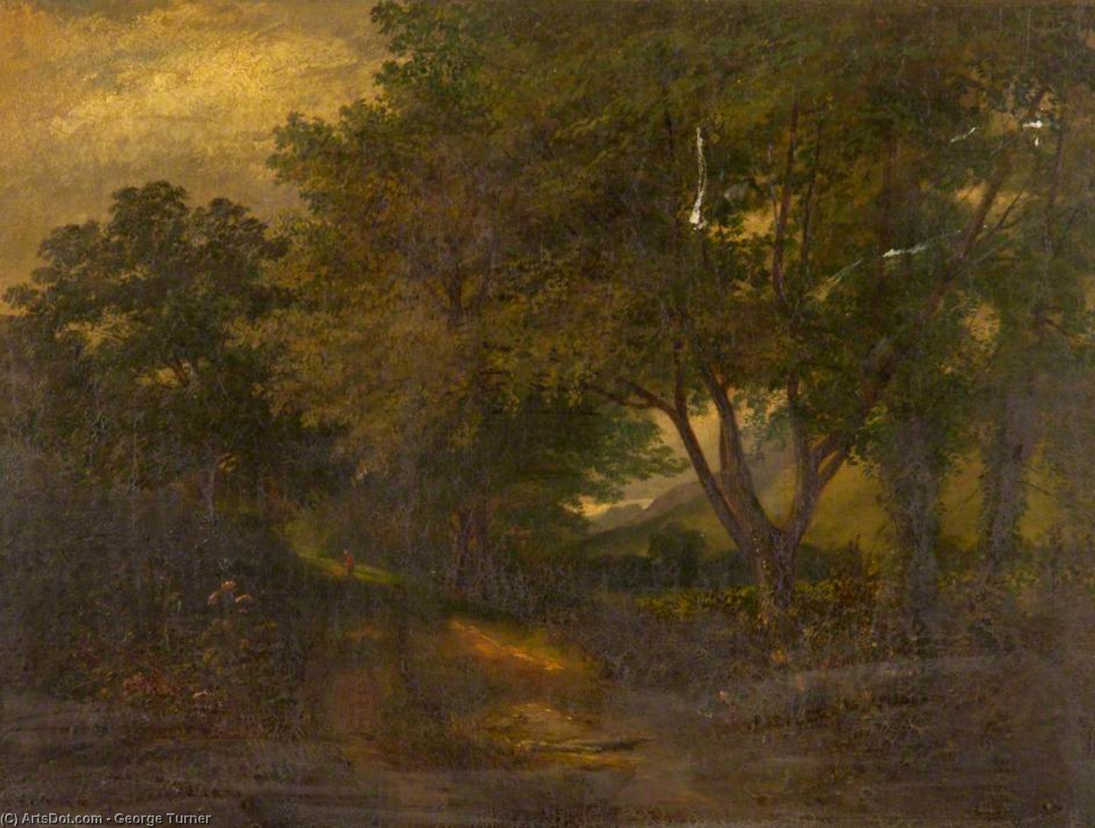 Wikioo.org - The Encyclopedia of Fine Arts - Painting, Artwork by George Turner - Woodland Scene