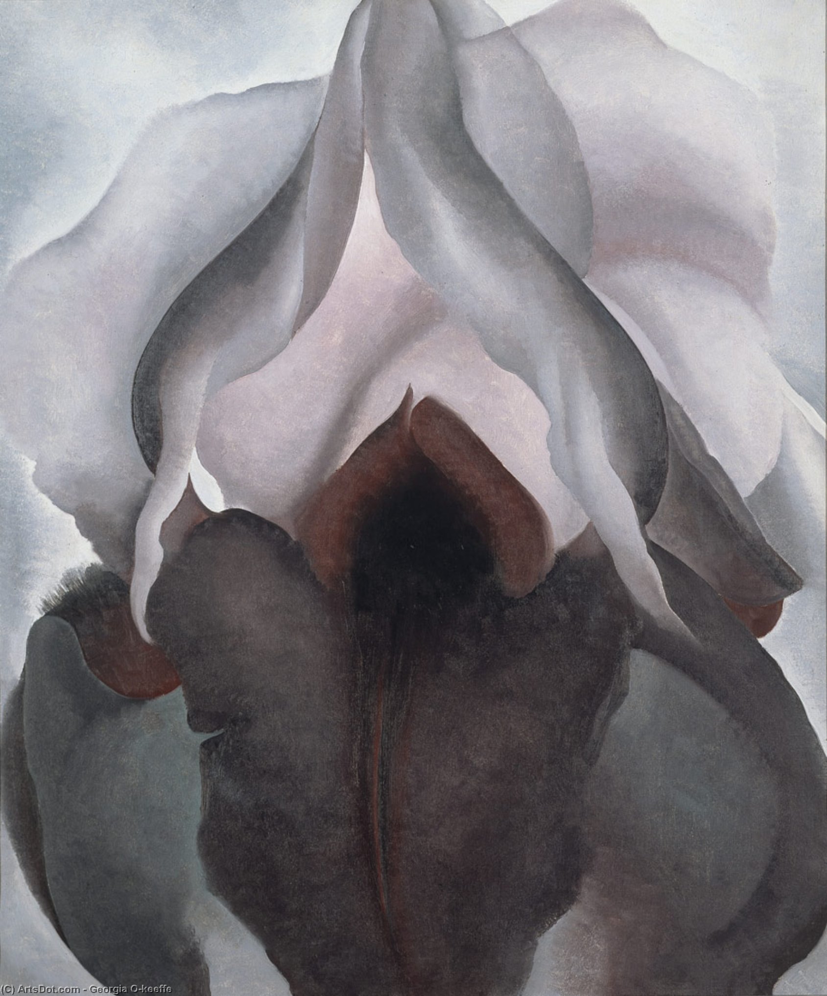 WikiOO.org - Encyclopedia of Fine Arts - Schilderen, Artwork Georgia Totto O'keeffe - Black Iris