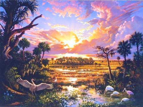 Wikioo.org - The Encyclopedia of Fine Arts - Painting, Artwork by Ian John Hornak - Everglades Painting