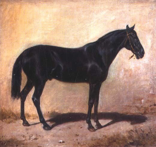 WikiOO.org - Encyclopedia of Fine Arts - Maalaus, taideteos Jozef Brandt - Horse