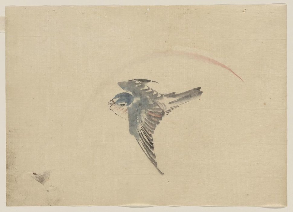 Wikioo.org - The Encyclopedia of Fine Arts - Painting, Artwork by Katsushika Hokusai - A Bird Flying To The Left, Seen From Above