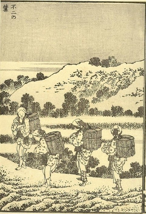 Wikioo.org - The Encyclopedia of Fine Arts - Painting, Artwork by Katsushika Hokusai - At The Foot Of Fuji