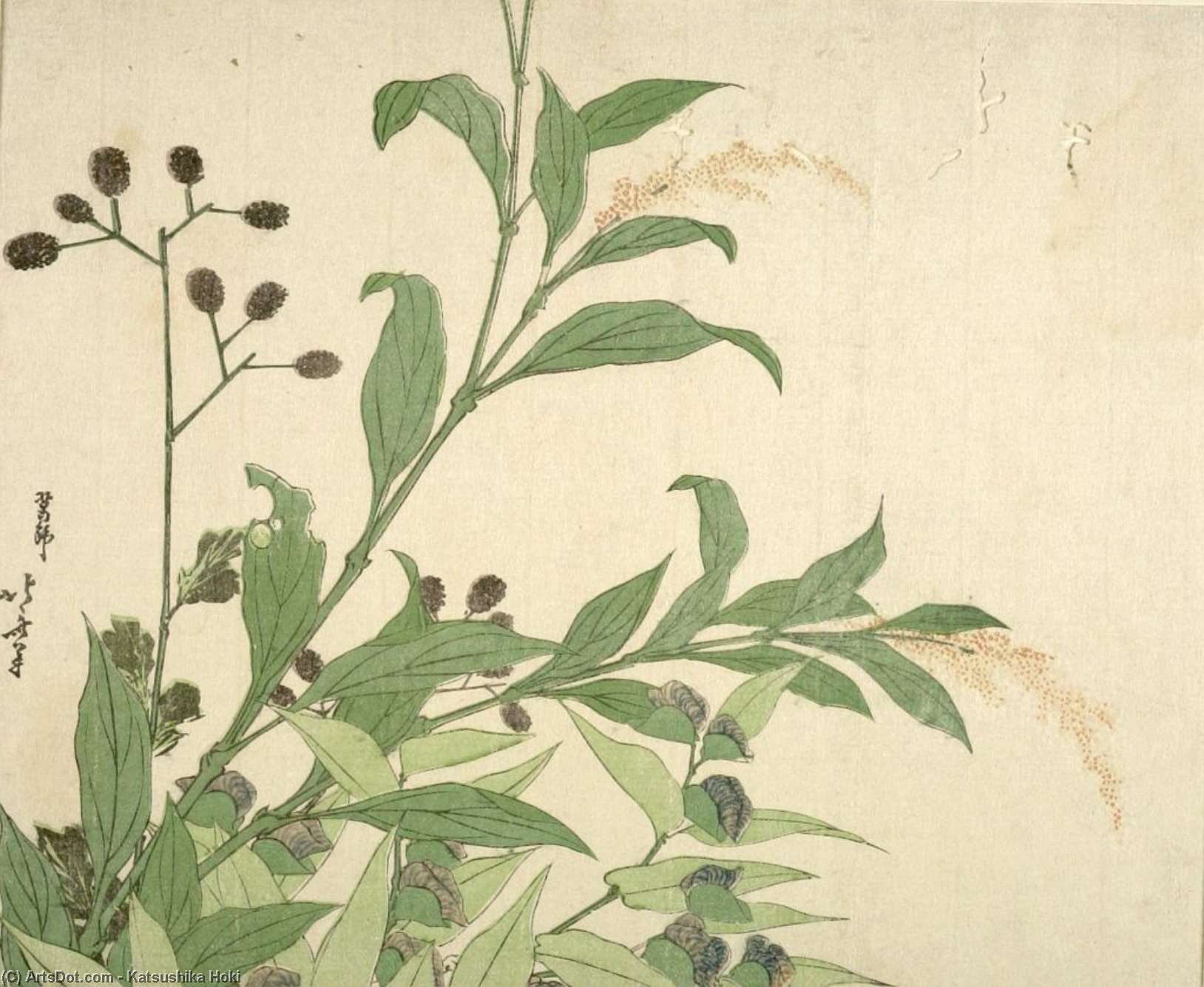Wikioo.org - The Encyclopedia of Fine Arts - Painting, Artwork by Katsushika Hokusai - Autumn Leaves, Edo Period,