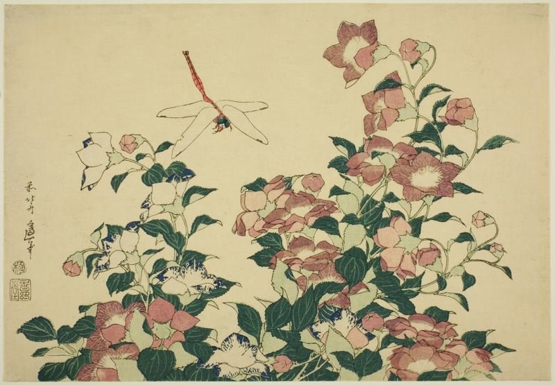 Wikioo.org – La Enciclopedia de las Bellas Artes - Pintura, Obras de arte de Katsushika Hokusai - Bell-flower y la libélula