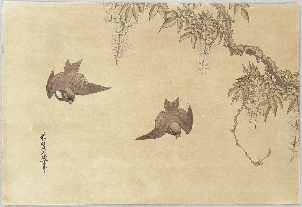 Wikoo.org - موسوعة الفنون الجميلة - اللوحة، العمل الفني Katsushika Hokusai - Birds And Wisteria
