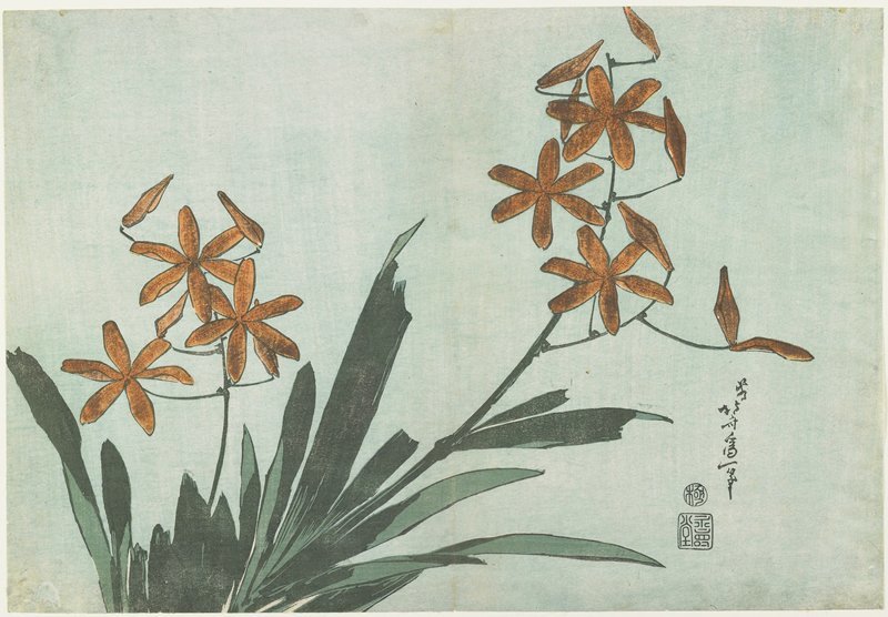 Wikioo.org - The Encyclopedia of Fine Arts - Painting, Artwork by Katsushika Hokusai - Blackberry Lilies