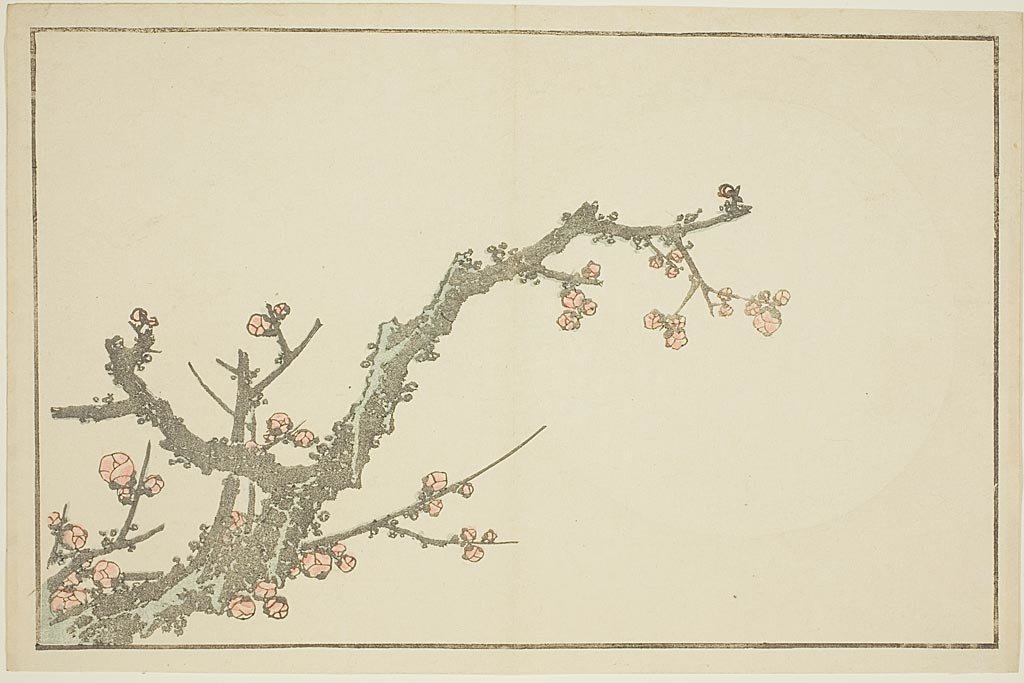 WikiOO.org - دایره المعارف هنرهای زیبا - نقاشی، آثار هنری Katsushika Hokusai - Blooming Plum Tree