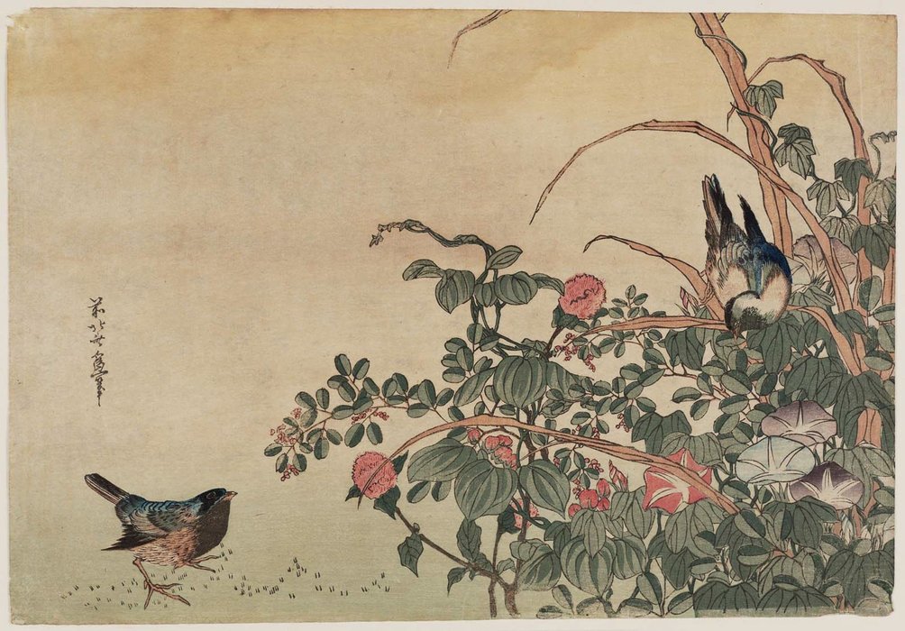 Wikioo.org – La Enciclopedia de las Bellas Artes - Pintura, Obras de arte de Katsushika Hokusai - Bluebirds Con Glorias mañana y Lespedeza