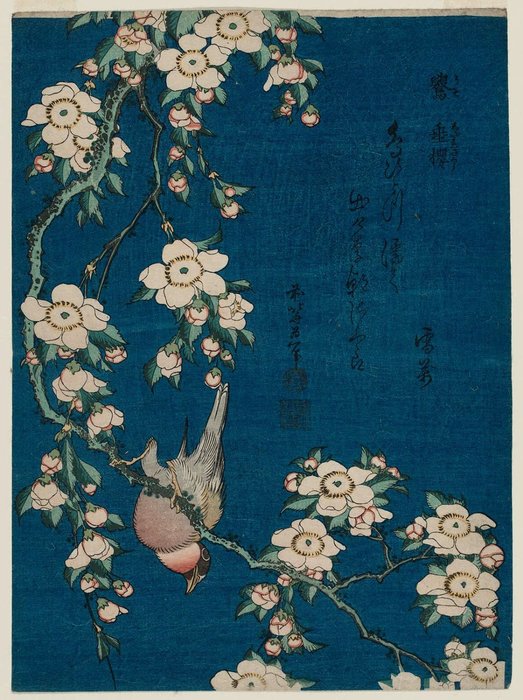 Wikioo.org - Die Enzyklopädie bildender Kunst - Malerei, Kunstwerk von Katsushika Hokusai - Dompfaff und Weinende Kirsche