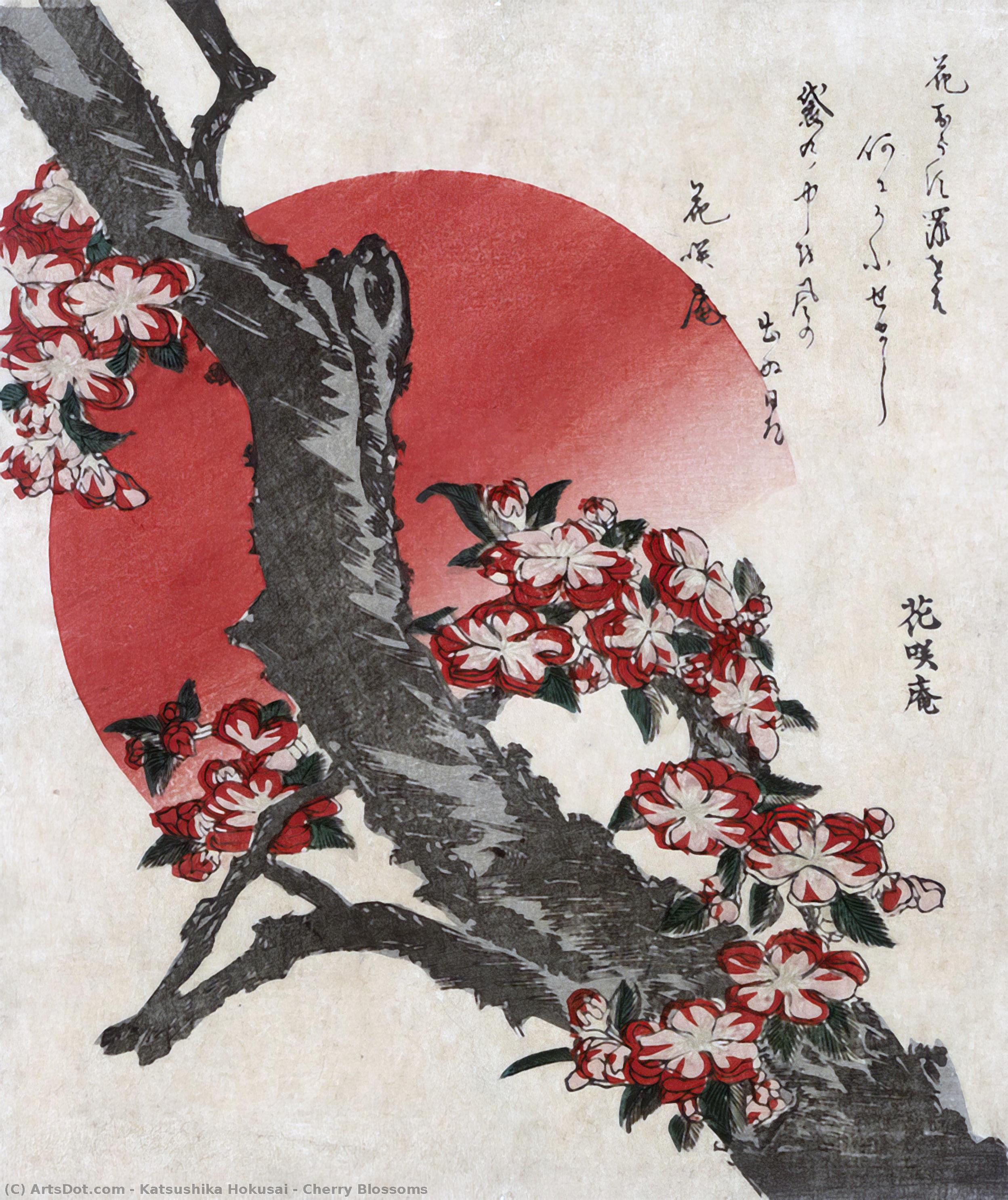 Wikioo.org - The Encyclopedia of Fine Arts - Painting, Artwork by Katsushika Hokusai - Cherry Blossoms