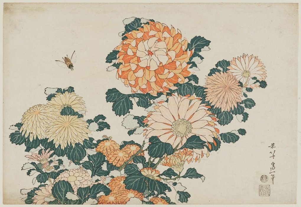 Wikioo.org - The Encyclopedia of Fine Arts - Painting, Artwork by Katsushika Hokusai - Chrysanthemums And Horsefly