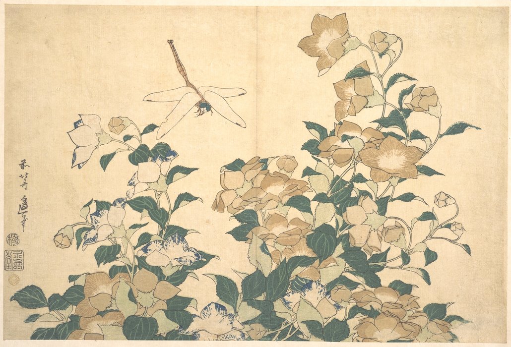 Wikioo.org - The Encyclopedia of Fine Arts - Painting, Artwork by Katsushika Hokusai - Dragonfly And Bellflower