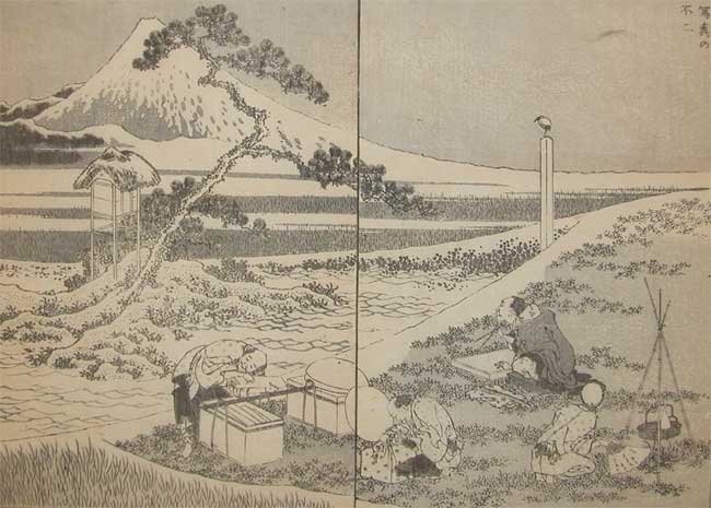 Wikioo.org - The Encyclopedia of Fine Arts - Painting, Artwork by Katsushika Hokusai - Drawing Fuji From Life