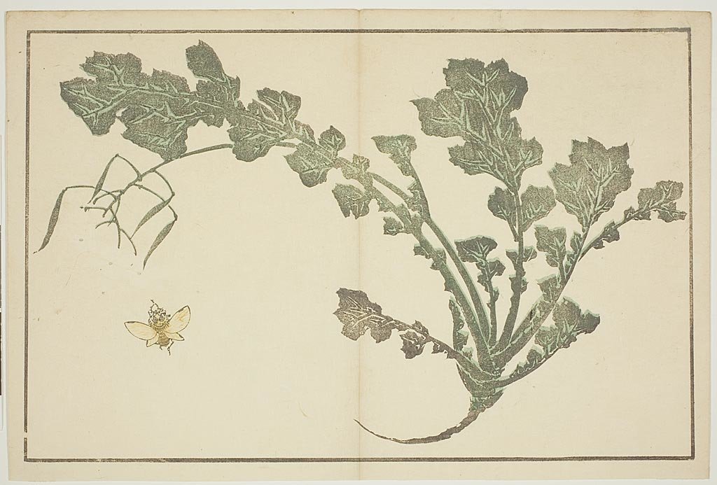 WikiOO.org – 美術百科全書 - 繪畫，作品 Katsushika Hokusai - 苍蝇和Herb