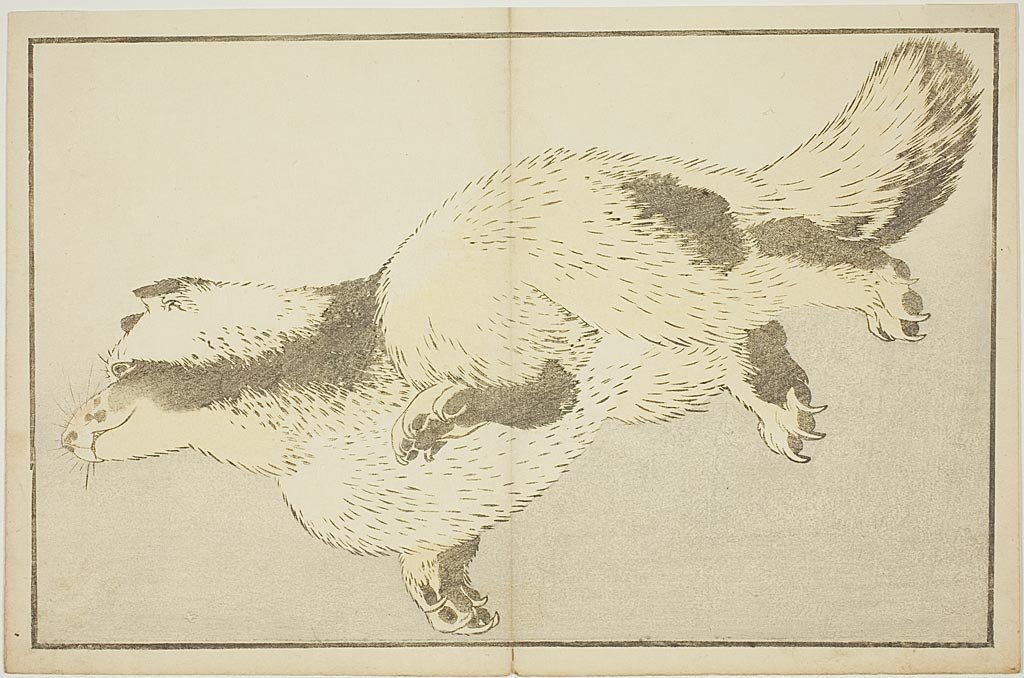 Wikioo.org - The Encyclopedia of Fine Arts - Painting, Artwork by Katsushika Hokusai - Fox