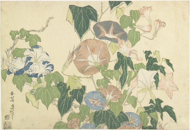 WikiOO.org - Enciklopedija likovnih umjetnosti - Slikarstvo, umjetnička djela Katsushika Hokusai - Frog And Morning Glories