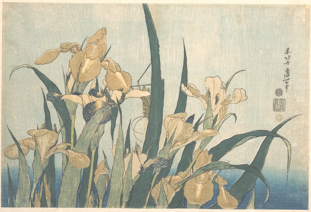 Wikioo.org - The Encyclopedia of Fine Arts - Painting, Artwork by Katsushika Hokusai - Grasshopper And Iris