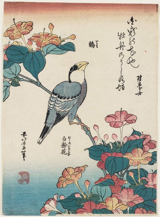 Wikioo.org - The Encyclopedia of Fine Arts - Painting, Artwork by Katsushika Hokusai - Hawfinch And Marvel-of-peru