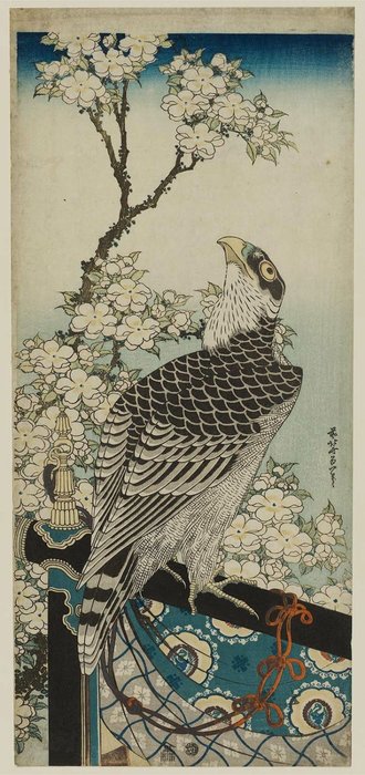 Wikioo.org - Bách khoa toàn thư về mỹ thuật - Vẽ tranh, Tác phẩm nghệ thuật Katsushika Hokusai - Hawk And Cherry Blossoms