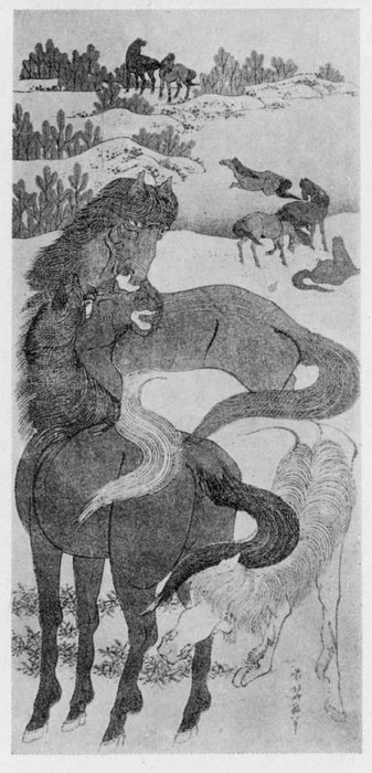 Wikioo.org – L'Enciclopedia delle Belle Arti - Pittura, Opere di Katsushika Hokusai - cavallo